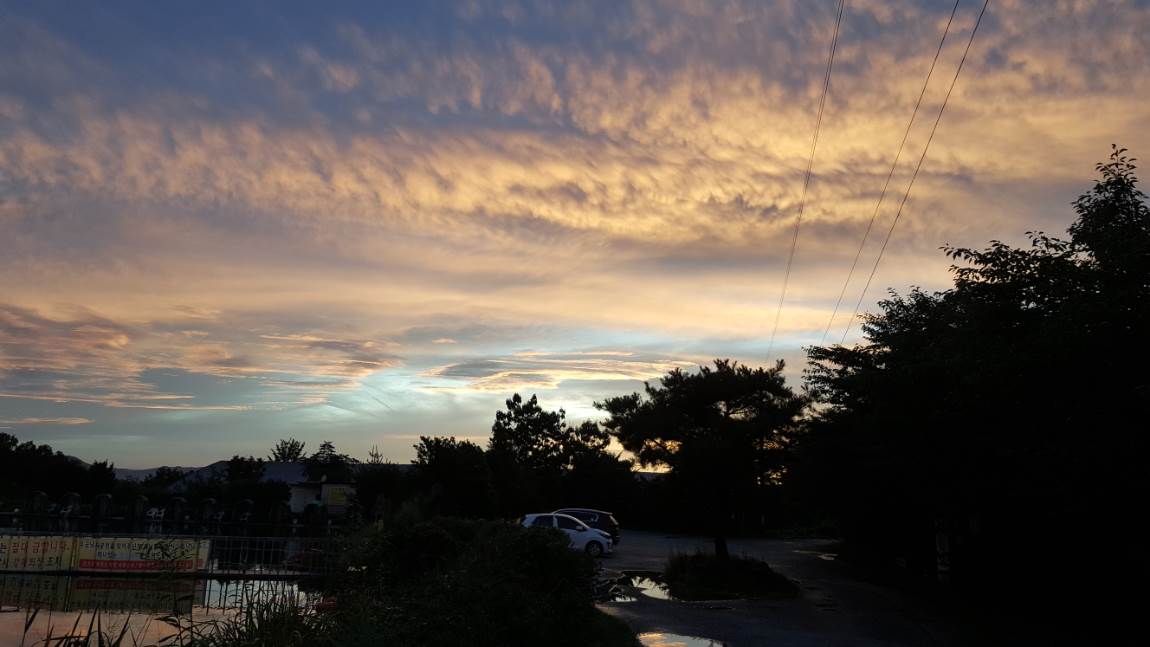 20190905_185638.jpg
