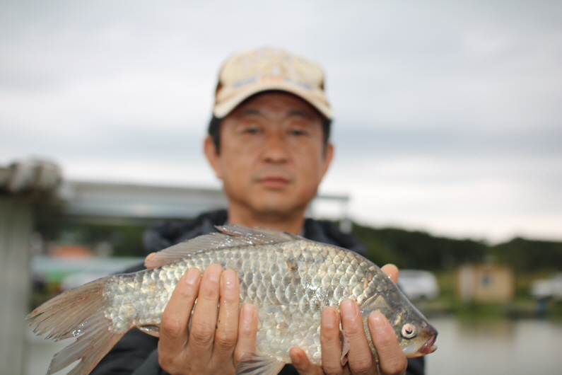 [ũ⺯ȯ]IMG_6646.JPG