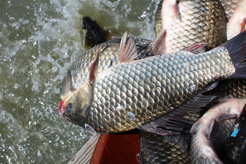 [ũ⺯ȯ]IMG_6396.JPG
