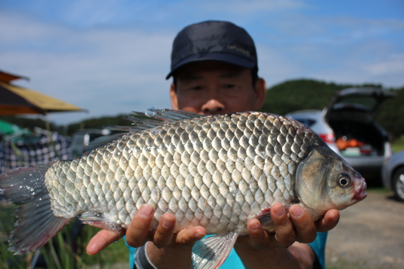 [ũ⺯ȯ]IMG_6418.JPG