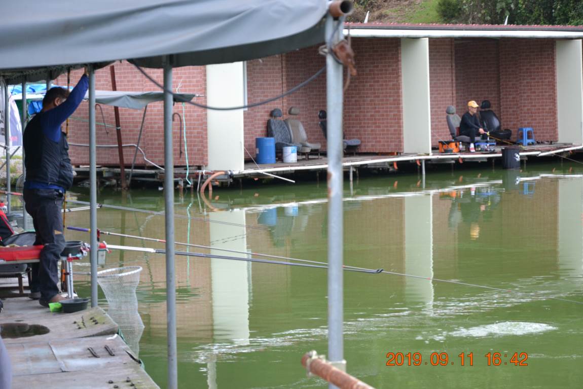 DSC_0116.JPG