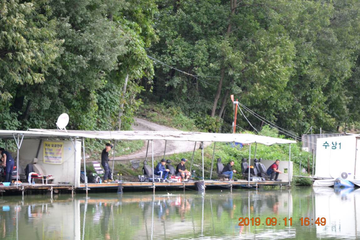 DSC_0123.JPG