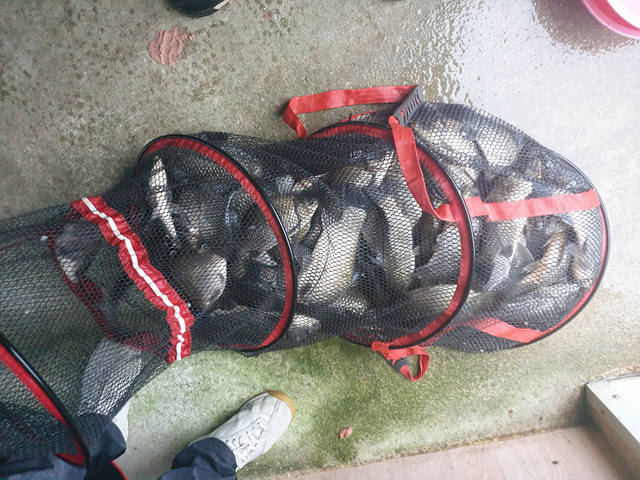 20190911_071627.jpg