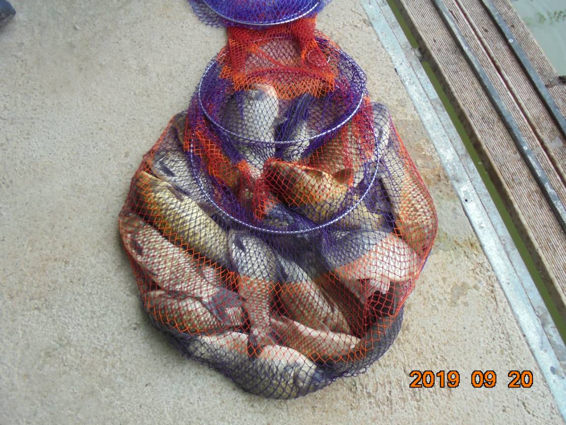 DSC07330.JPG