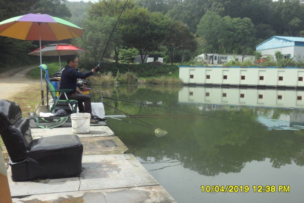 SAM_0117.JPG