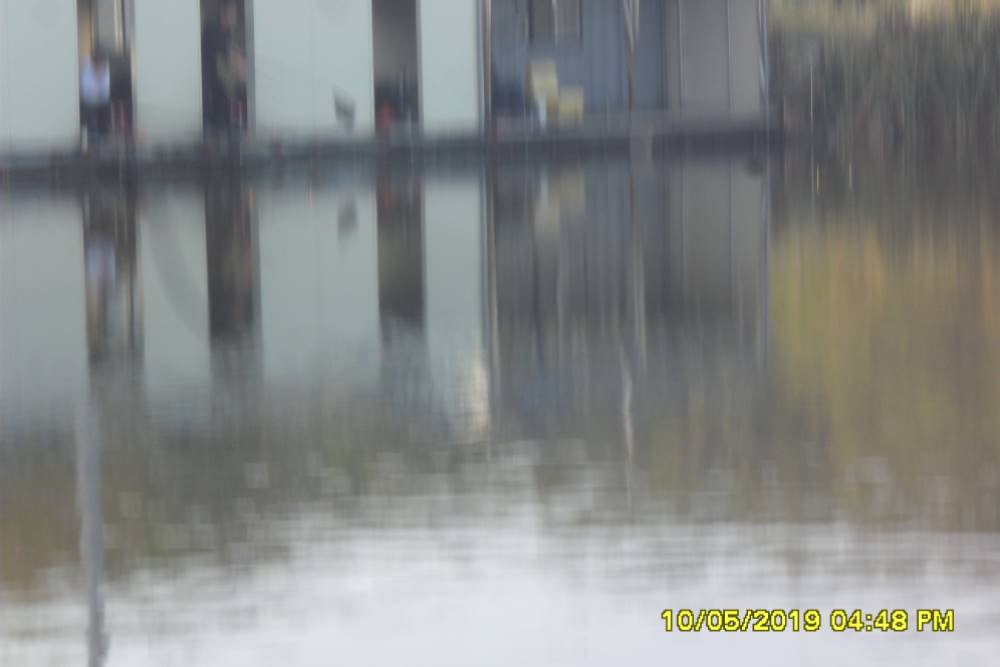 SAM_0211.JPG