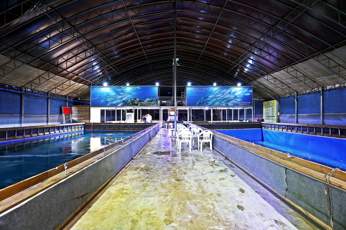 576A0310.JPG