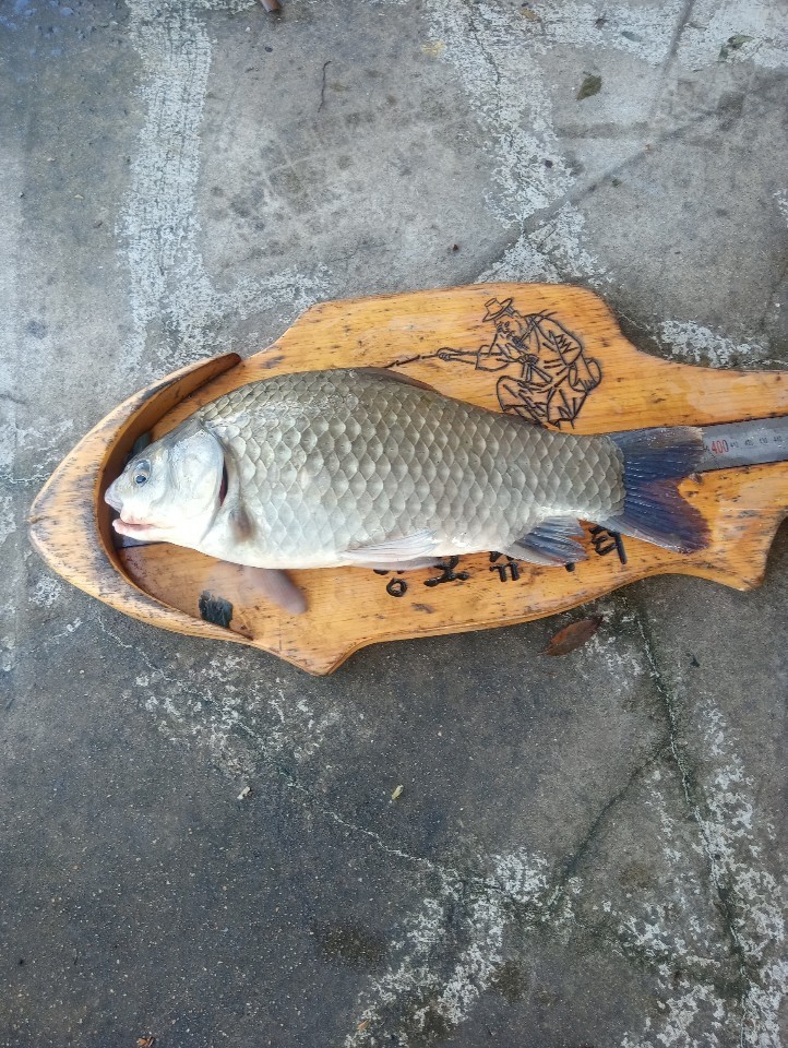 KakaoTalk_20191009_131057130.jpg