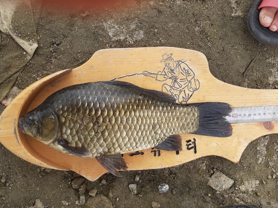 KakaoTalk_20191009_131146323.jpg