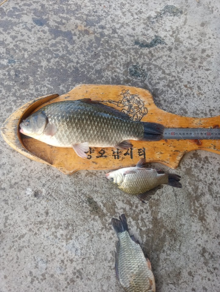 KakaoTalk_20191009_131057309.jpg
