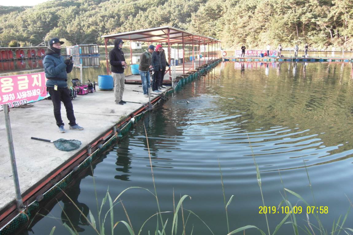 SDC11144.JPG