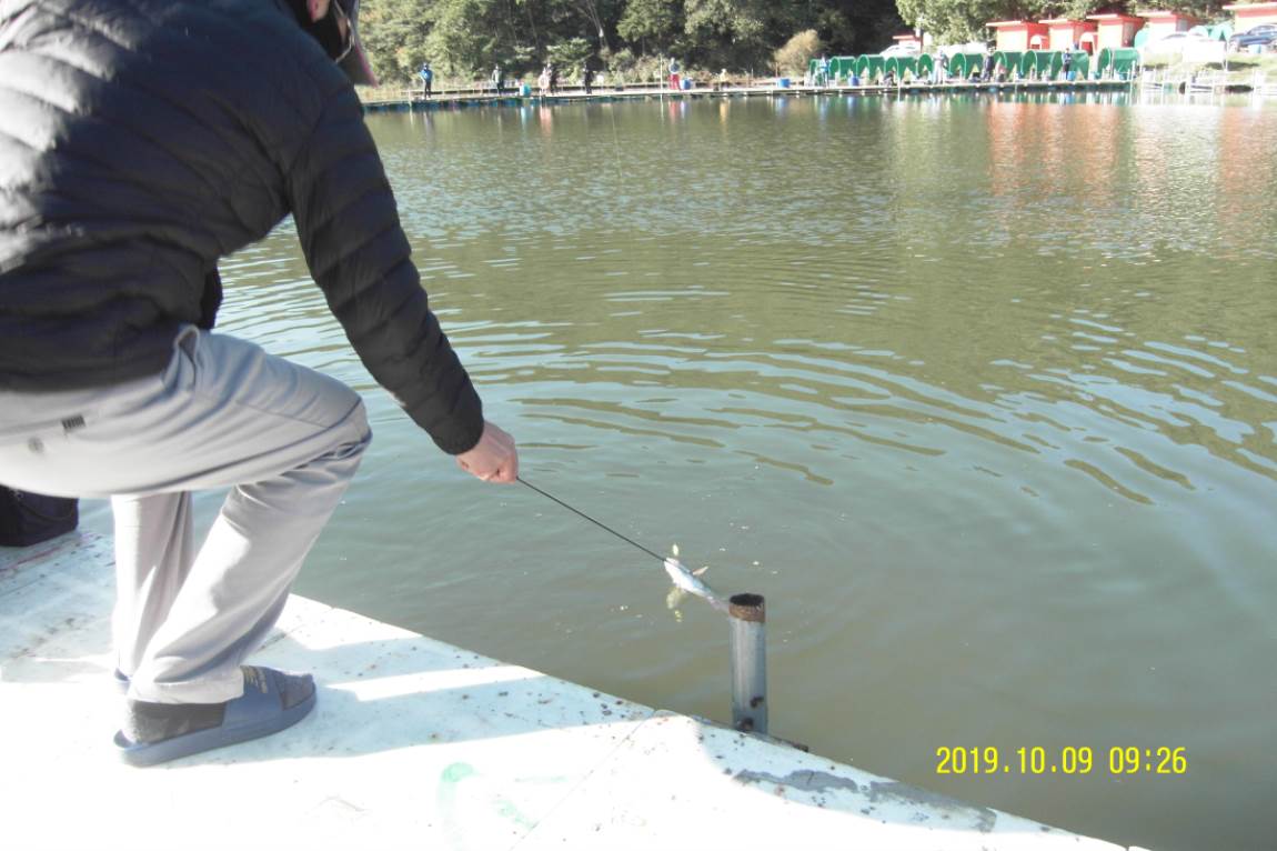SDC11158.JPG