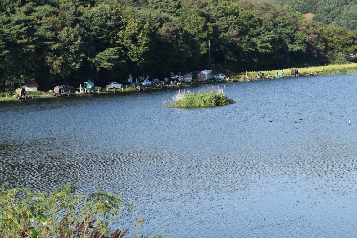 DSC_0718.JPG