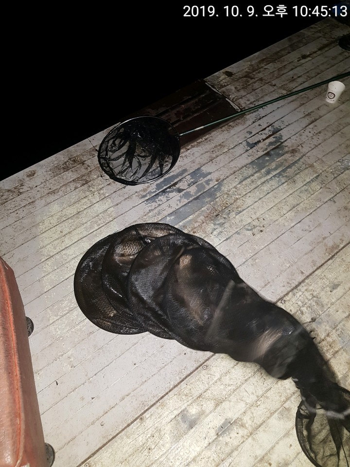 KakaoTalk_20191010_083359942.jpg