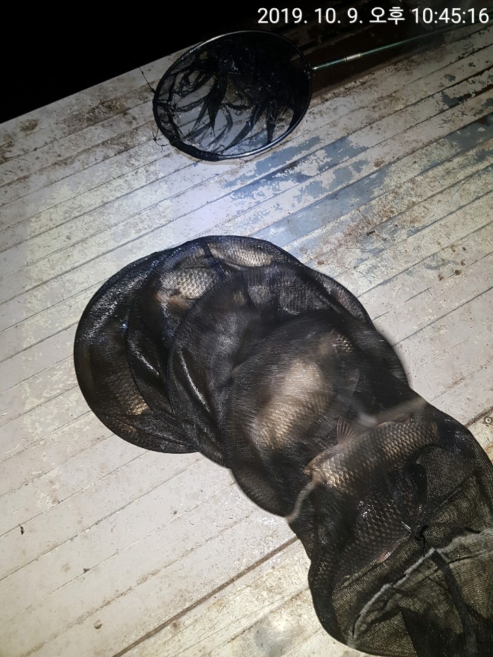 KakaoTalk_20191010_083400652.jpg