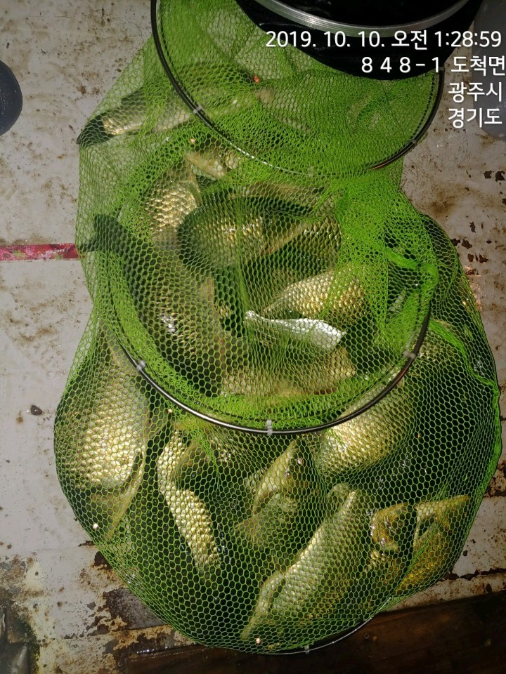 KakaoTalk_20191010_013126857.jpg