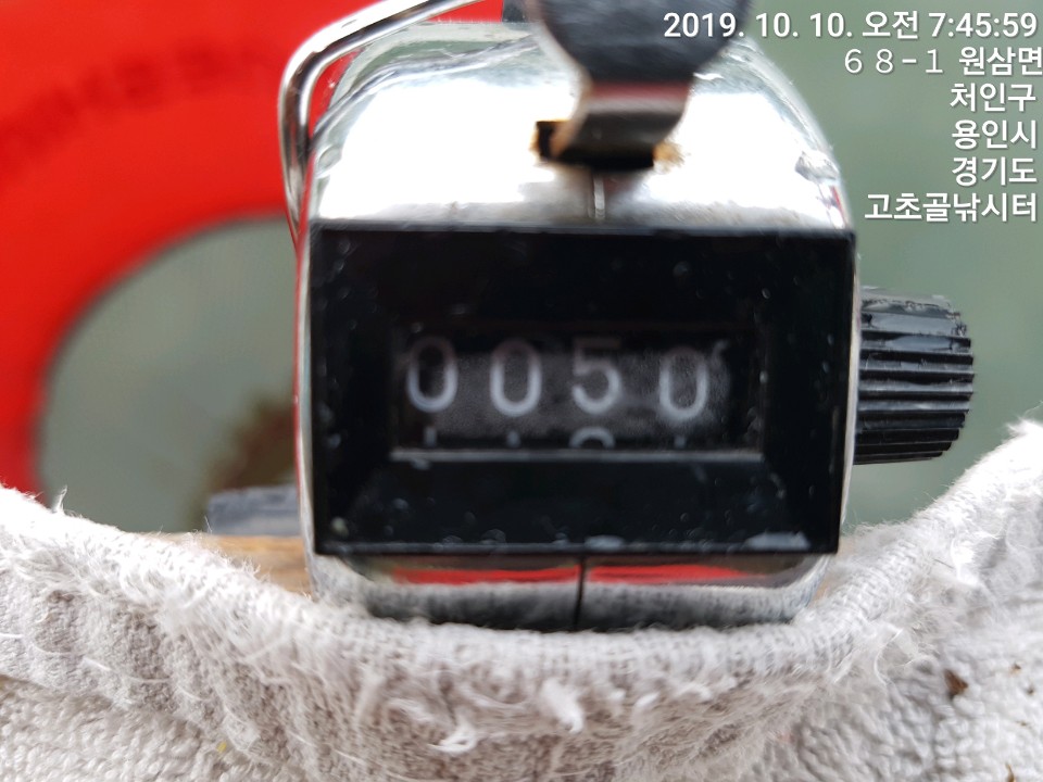 1570669101639-3.jpg