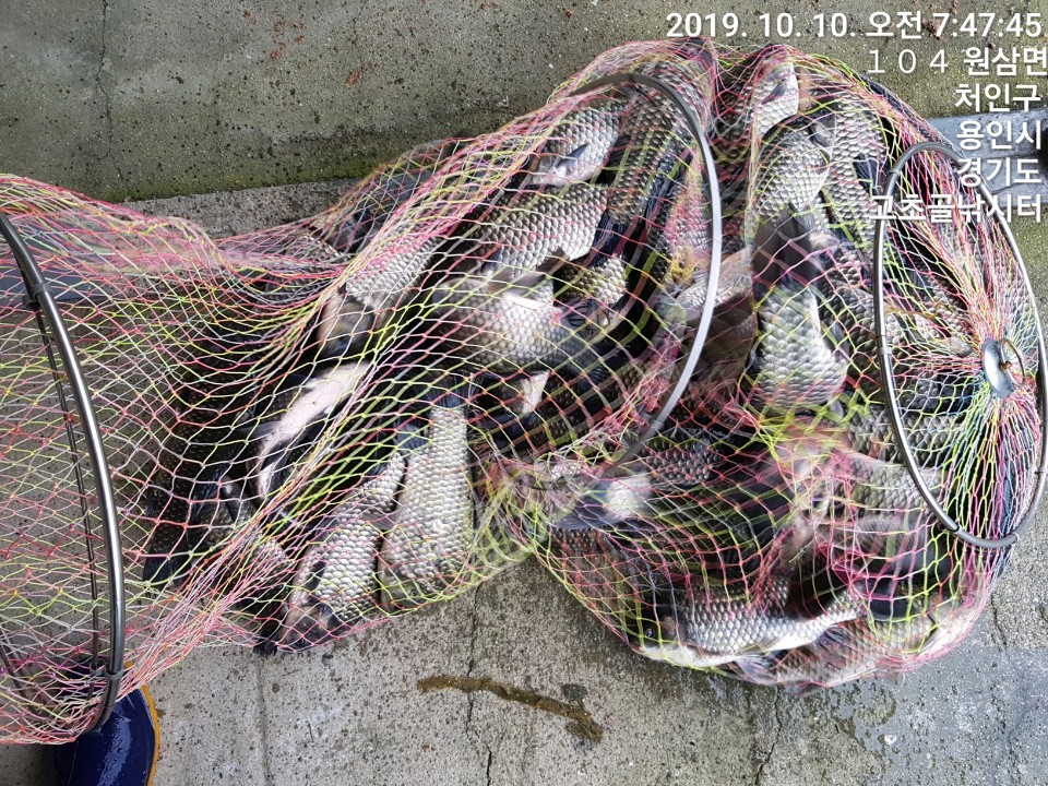 1570669101639-6.jpg