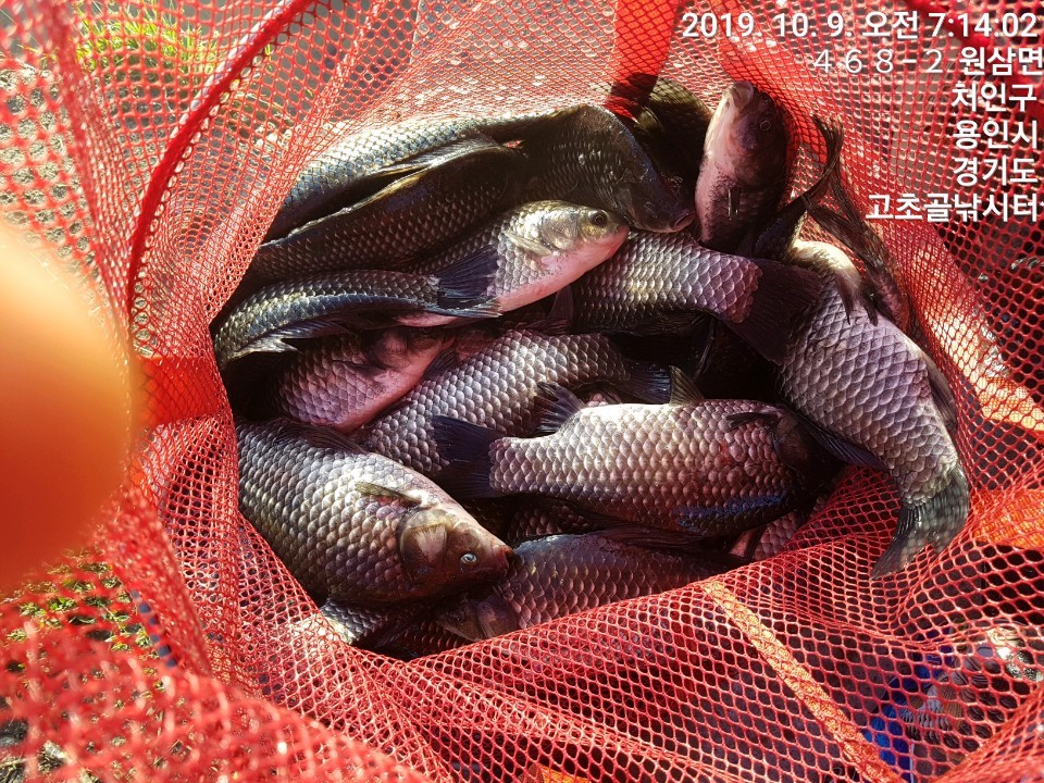 1570577643768-11.jpg