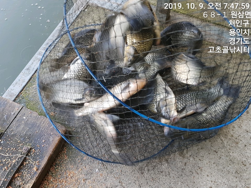 1570577651793-19.jpg