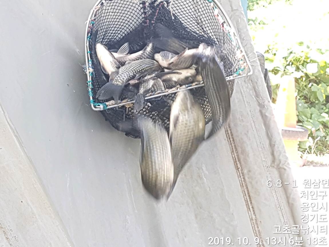 TimePhoto_20191009_130618.jpg