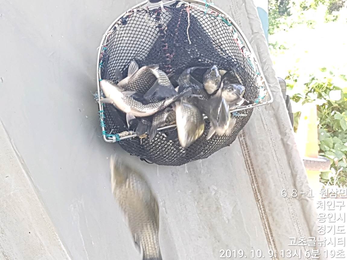 TimePhoto_20191009_130619.jpg