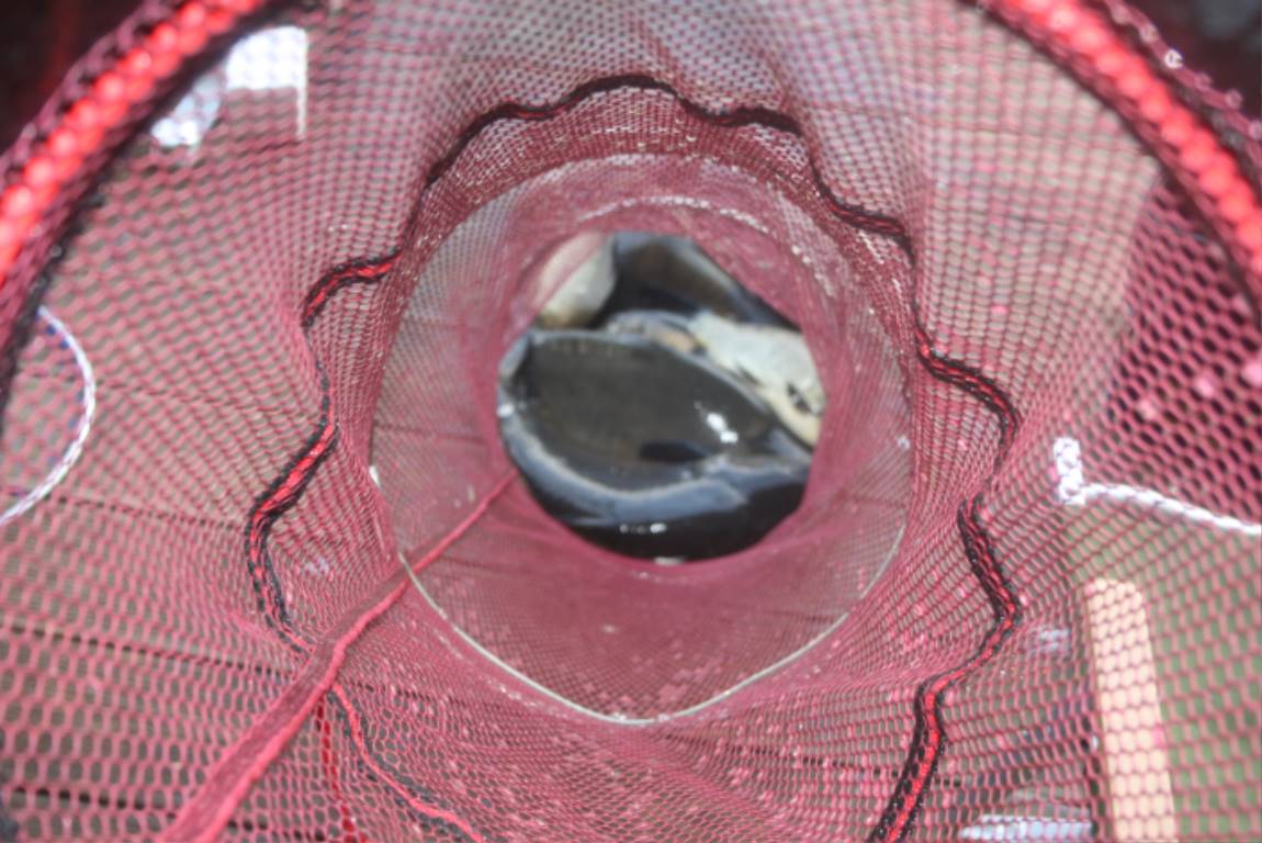 IMG_9267.JPG