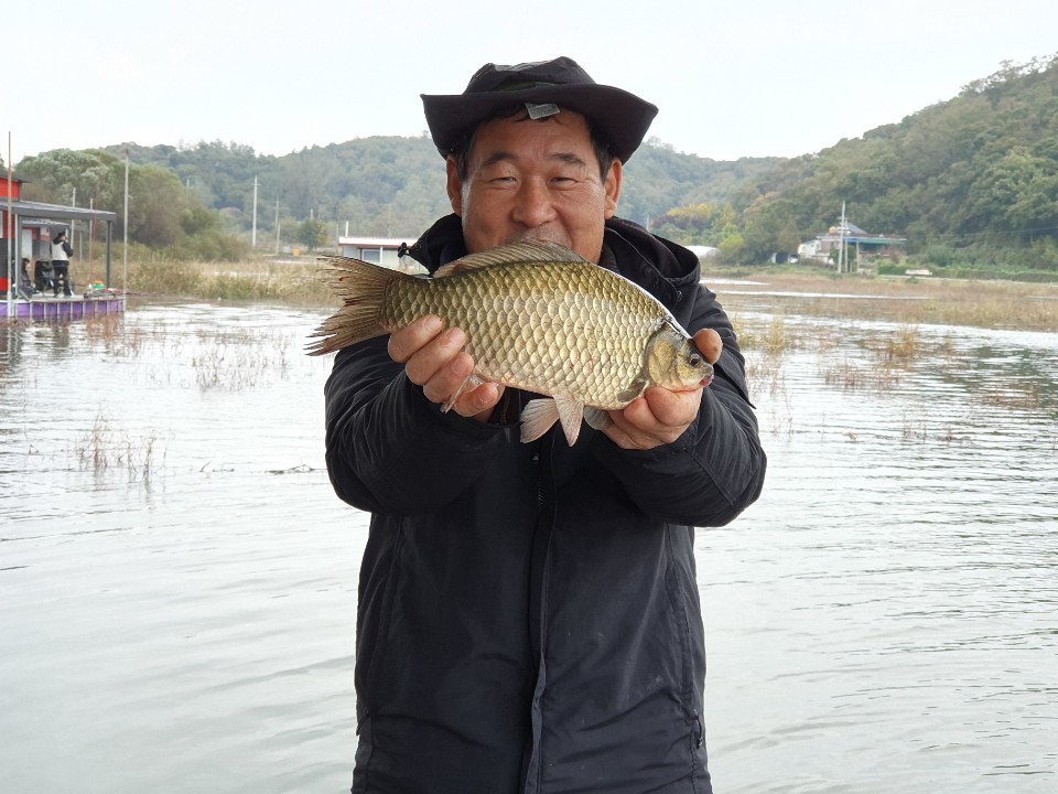 백학지 유료낚시터 > 백학저수지 10월 26일 조황소식입니다. : 낚시사랑