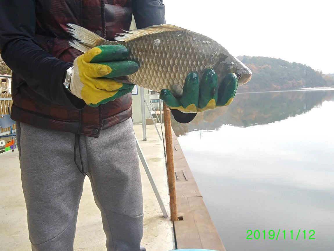 ²Ù¹Ì±â_20191112_130333_HDR.jpg