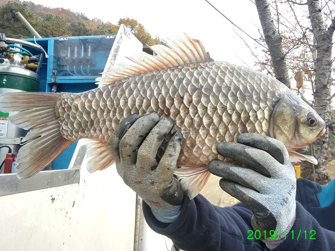 ²Ù¹Ì±â_20191112_130435_HDR.jpg