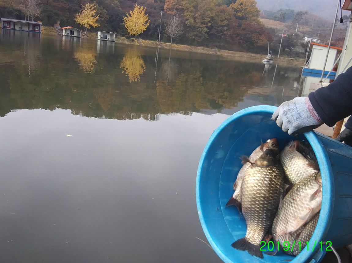 ²Ù¹Ì±â_20191112_131109.jpg