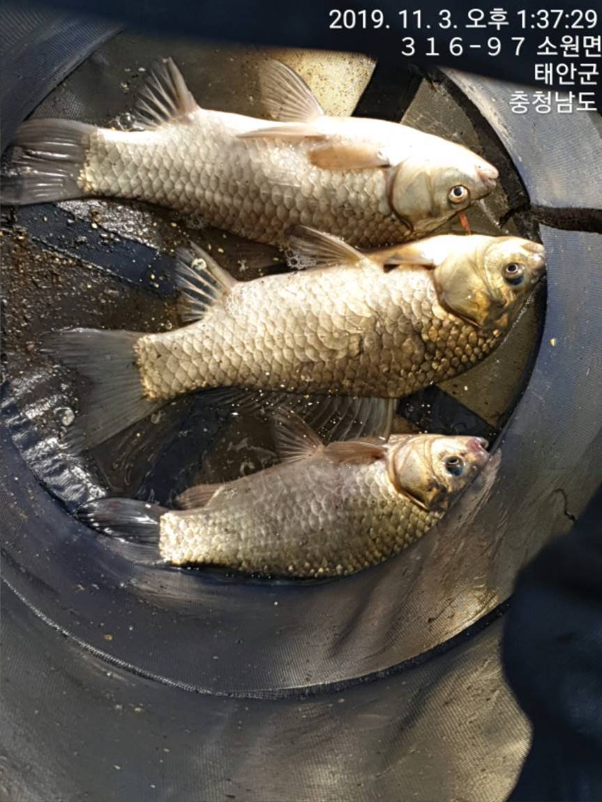 TimePhoto_20191103_133729[1].jpg