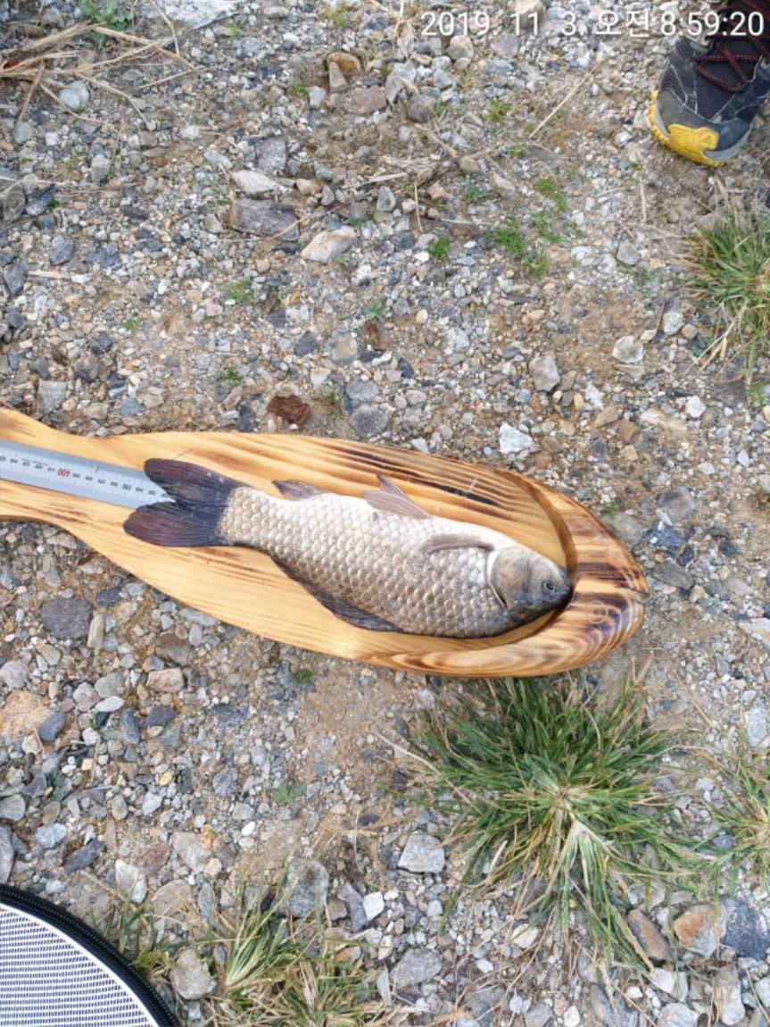 TimePhoto_20191103_085920[1].jpg