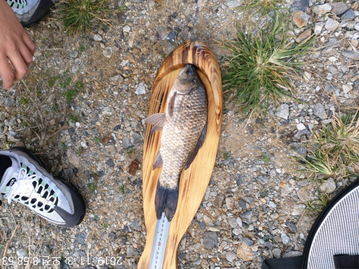 TimePhoto_20191103_085853[1].jpg