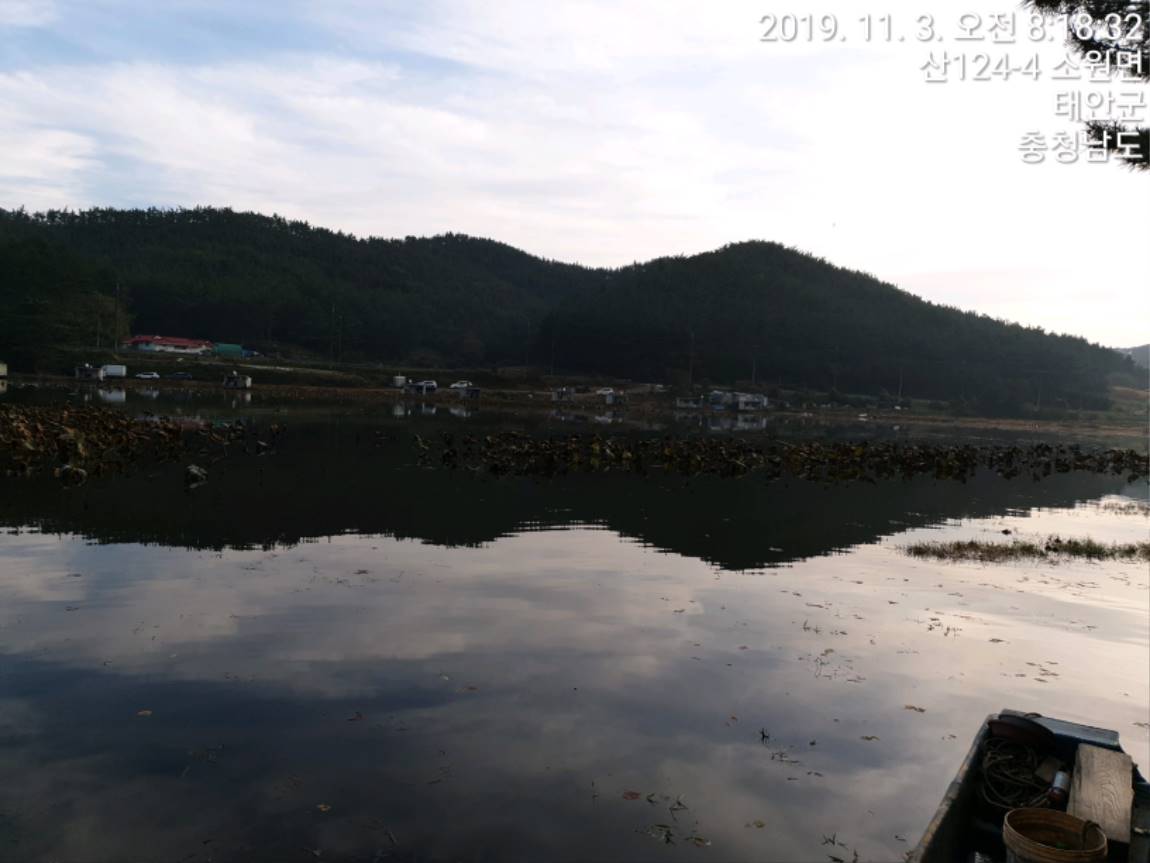 TimePhoto_20191103_081832[1].jpg