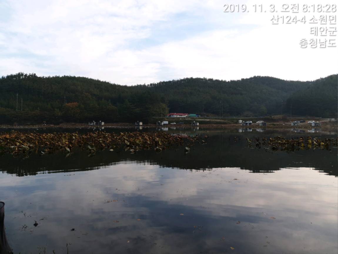 TimePhoto_20191103_081828[1].jpg