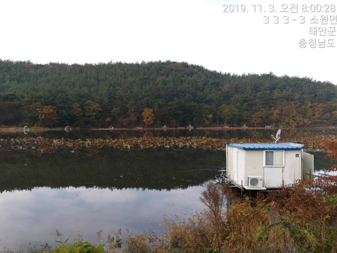 TimePhoto_20191103_080028[1].jpg