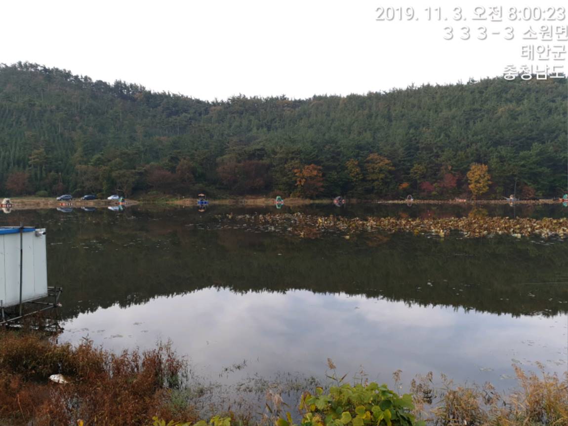 TimePhoto_20191103_080023[1].jpg