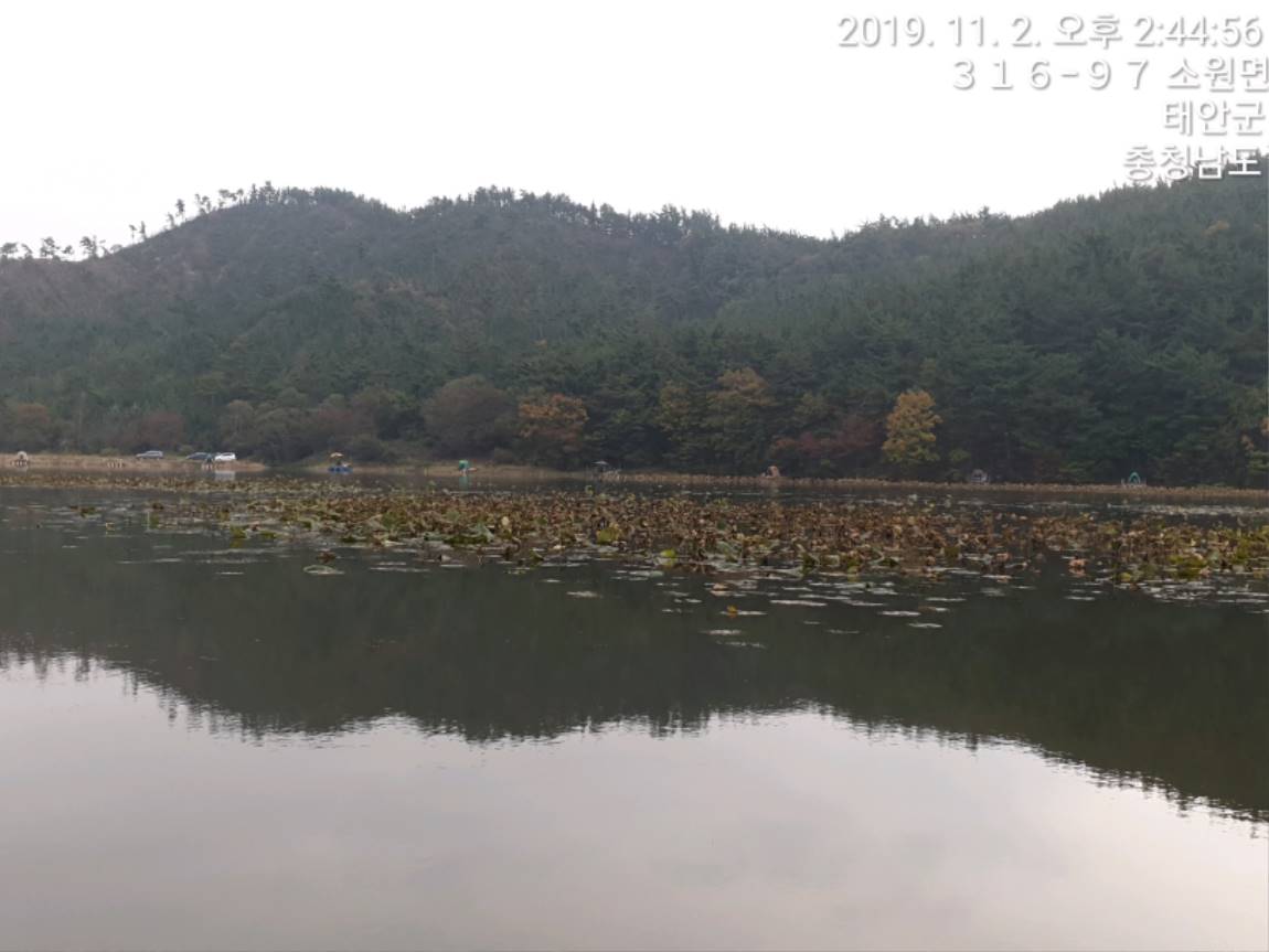 TimePhoto_20191102_144456[1].jpg