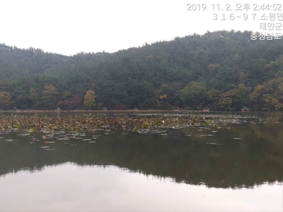 TimePhoto_20191102_144452[1].jpg