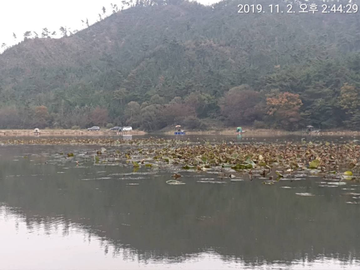 TimePhoto_20191102_144429[1].jpg