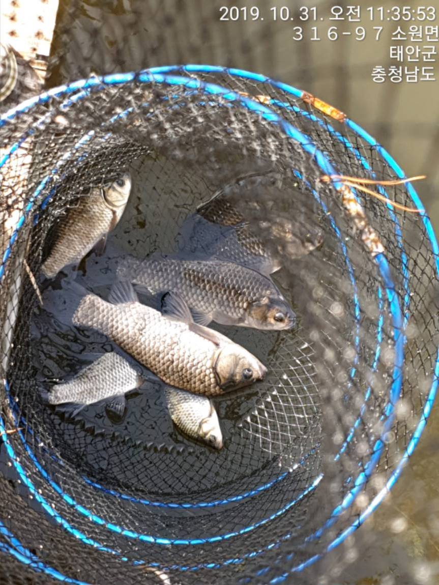TimePhoto_20191031_113553[1].jpg