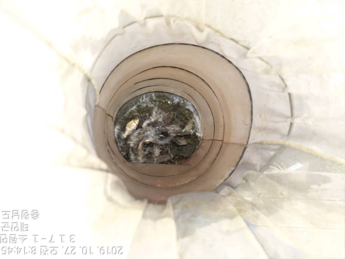 TimePhoto_20191027_081445[1].jpg