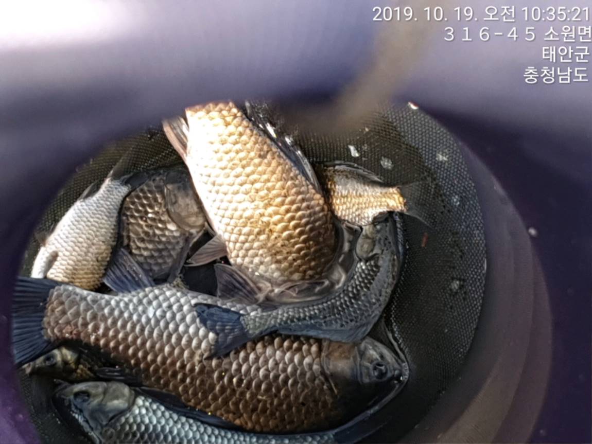 TimePhoto_20191019_103521[1].jpg