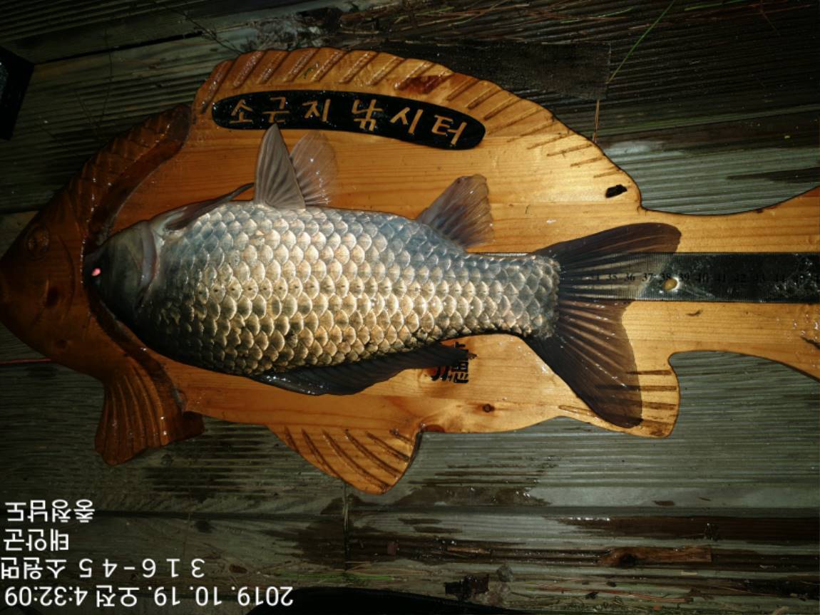 TimePhoto_20191019_043209[1].jpg