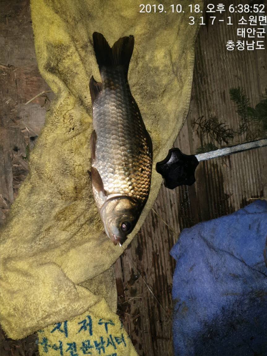 TimePhoto_20191018_183852[1].jpg