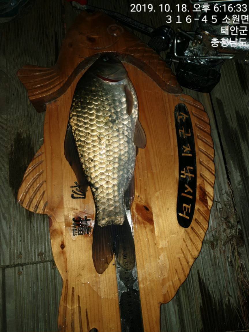 TimePhoto_20191018_181633[1].jpg