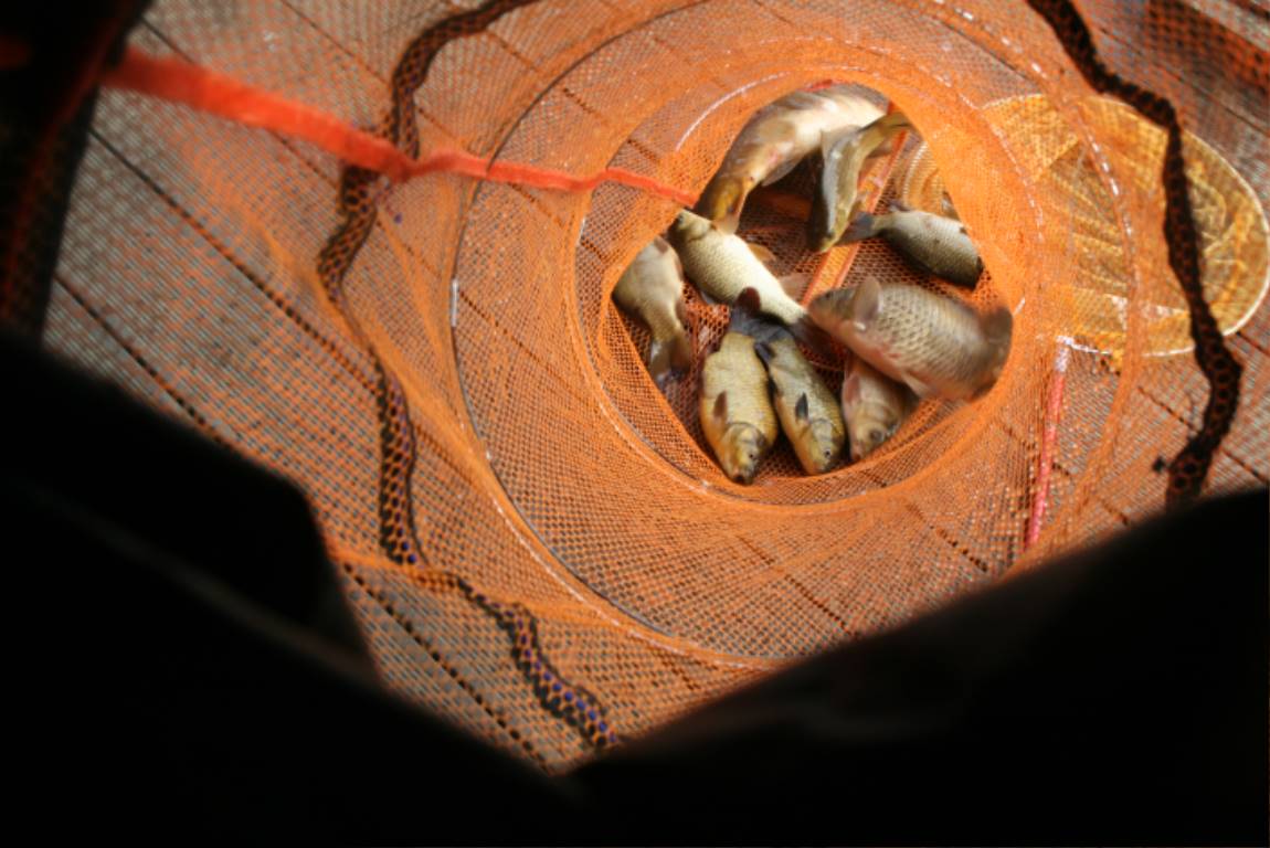 IMG_9437.JPG