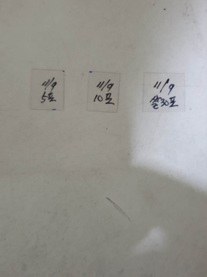 20191107_162233.jpg