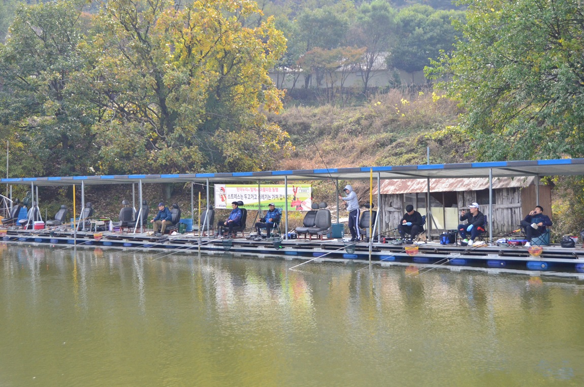 DSC_1595.JPG